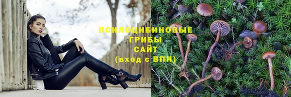 COCAINE Белоозёрский